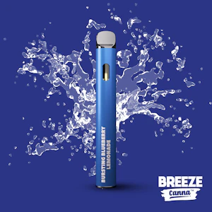 Breeze - Breeze - Bursting Blueberry Lemonade  - 1G Disposable