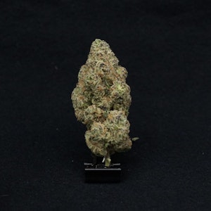 THE HEMPIRE COLLECTIVE - THC | Brrr Berry