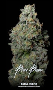 ALTERNATIVE SOLUTIONS - Bruce Banner 5 Pack Great Day Prerolls 1.75g total