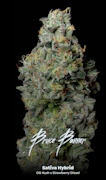 Bruce Banner Half Gram Vape Cart By Alt Sol