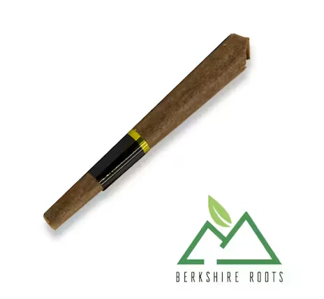 Berkshire Roots - Orange Chemeleon Blunt - 0.75g - BSR Main Image