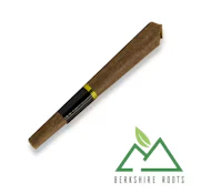 Orange Chemeleon Blunt - 0.75g - BSR