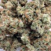 STABILITY GROWERS - BUBBLE GUM 3.5 GRAMS