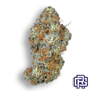 High Noon Cult - Buckaroo Flower