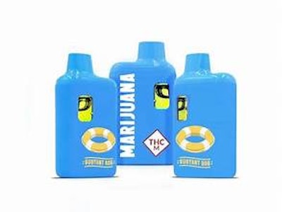 BUOYANT BOB - BUOYANT BOB - BLUE DREAM 1 GRAM DISPOSABLE VAPE