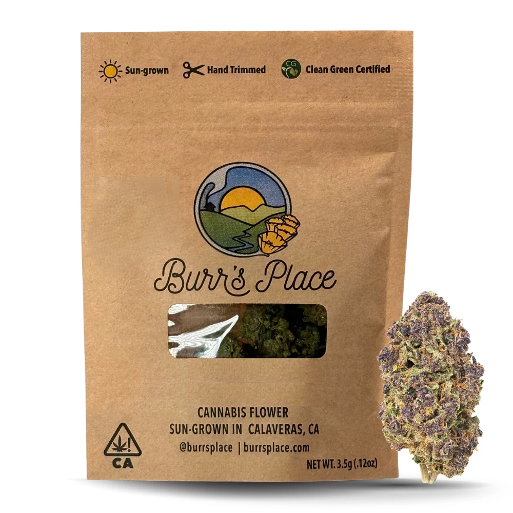 Burr's Place - BURRS PLACE | SUGAR PINE OG | FLOWER | 3.5G Main Image