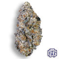 Butterscotch Breath Flower