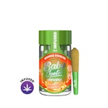 Baby Jeeter - 5pk Infused Prerolls - Orange Daiquiri