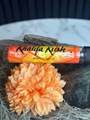 Baby Turtle Infused Preroll 1.5g
