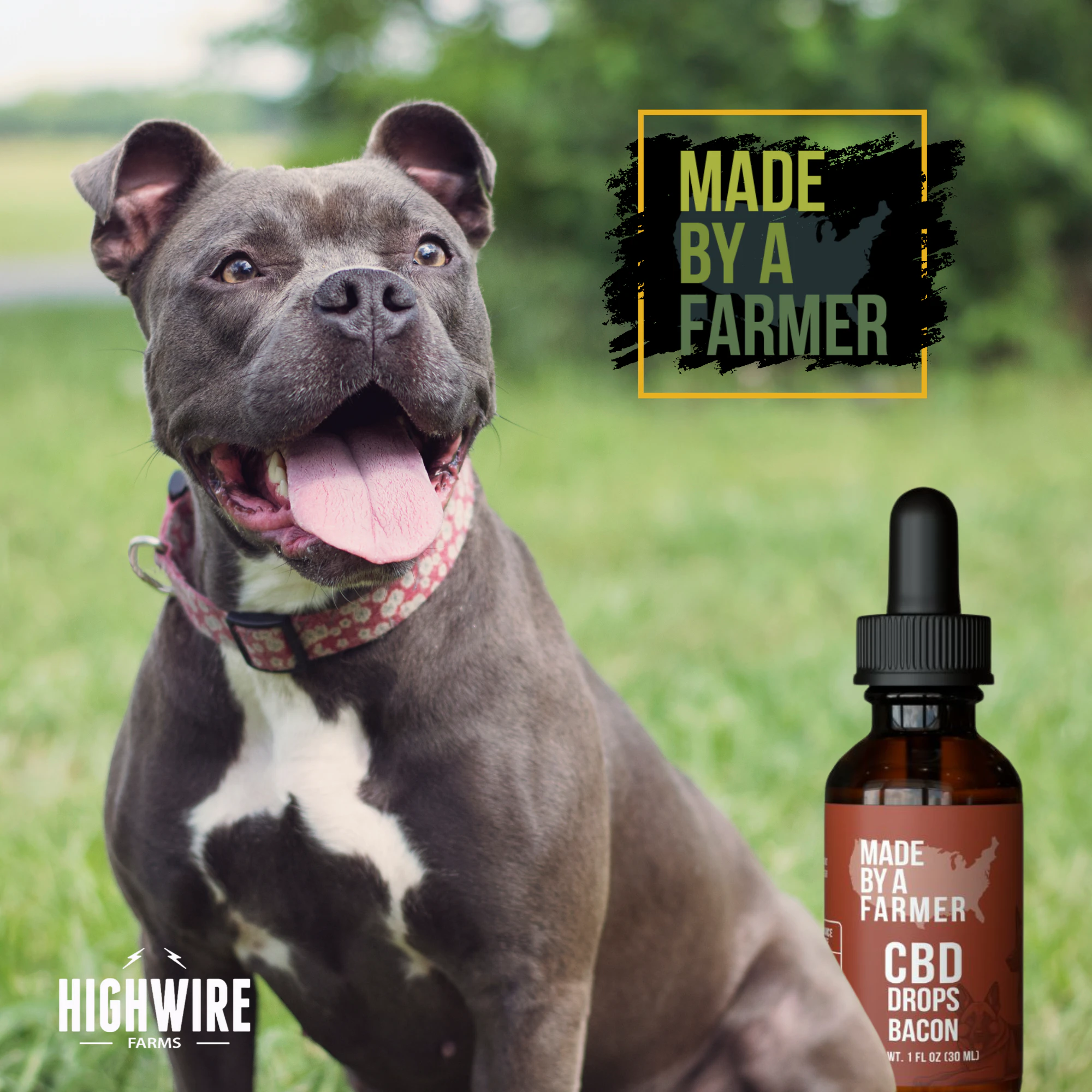 Made By A Farmer - Made By A Farmer Pet CBD Drops Bacon Flavored 1200mg Main Image