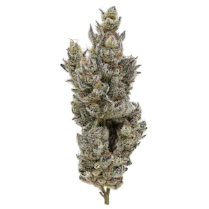 FIG FARMS - Holy Moly! - 3.5g (SH) - Fig Farms