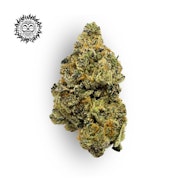 Banana Hammock Bulk Flower - EFF! (FIRE ISLAND)