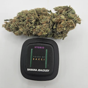 House of Sacci - Sacci | Banana Jealousy | 3.5g Hybrid