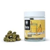 Solis Banana Leche Flower 28.0g