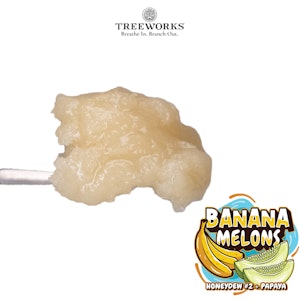 Treeworks - Banana Melons - 1g Live Rosin - Treeworks