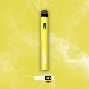 Breeze - Breeze Disposable - Banana Orange Smoothie -1G