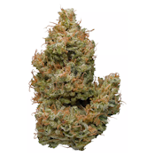 Super Silver Haze | Sativa | $15