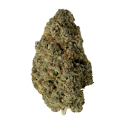 Wuuberry | Hybrid | $60