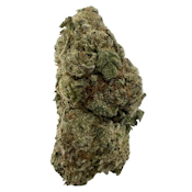 Cactus Breath | H | $20