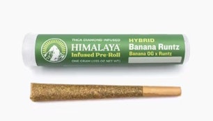 Himalaya 1g Banana Runtz Infused Preroll