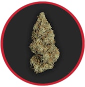 ROBUST - CHEM D 3.5 GRAMS
