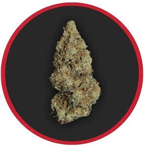 ROBUST - ROBUST - CHEM D 3.5 GRAMS