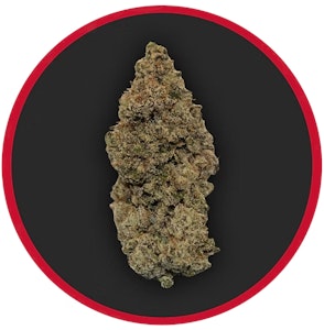 ROBUST - ROBUST - APPLES & BANANAS 3.5 GRAMS