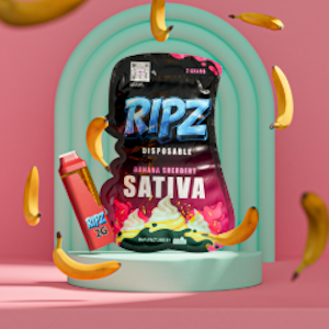 Ripz - Ripz - Banana Sherbet 2G Disposable