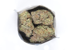 Madrone | Banana Punch | 3.5g