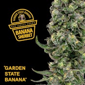 Garden State Banana- Banana Sherbert Preroll 1g