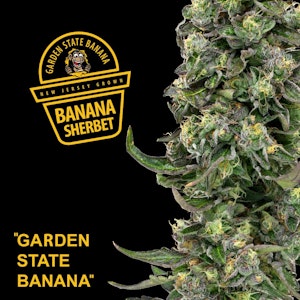 Garden State Banana - Banana Sherbert 1g Preroll 