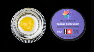 Banana Kush Mintz, Cured Resin