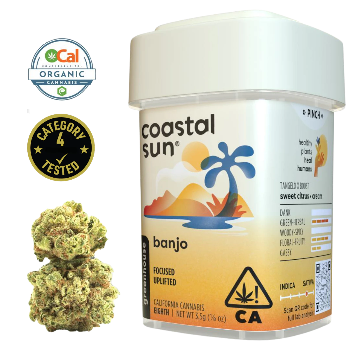 Coastal Sun - Banjo (S) | 3.5g Greenhouse Flower | Coastal Sun Main Image