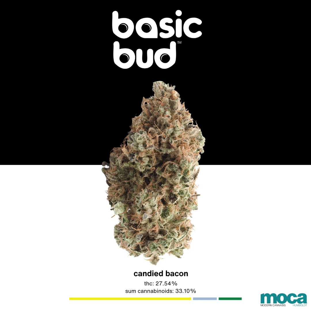 Basic Bud - Basic Bud - 1/2oz Bag - Candied Bacon Main Image