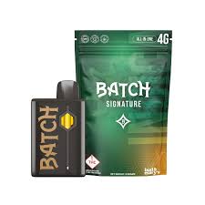 Batch - Signature Skywalker 600 4g AIO Disposable