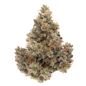 SENSE - Bath House - 3.5g (I) - Sense