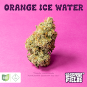 Orange Ice Water - 14.15 grams