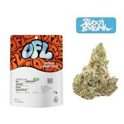 OAKFRUITLAND: Beach Break 7g - Indoor Flower (S)