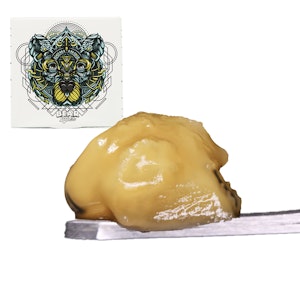 BEAR LABS - BEAR Labs | Budder 1g (Tier 3) | White Runtz