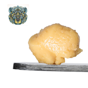 BEAR LABS | DOUBLE PAPAYA RUNTZ TIER 3 ROSIN | EXTRACT | 1G