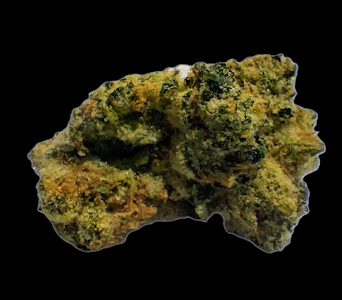 BLUE RAIN - Bearberry - Flower