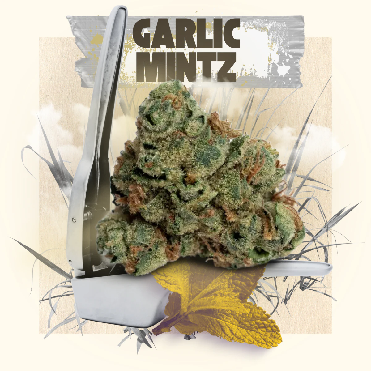 Belushi's Farm - BELUSHI'S FARM - GARLIC MINTZ 3.5 GRAMS Main Image