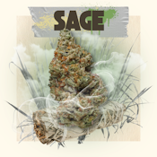 BELUSHI'S FARM - SAGE 3.5 GRAMS