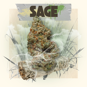 BELUSHI'S FARM - BELUSHI'S FARM - SAGE 3.5 GRAMS