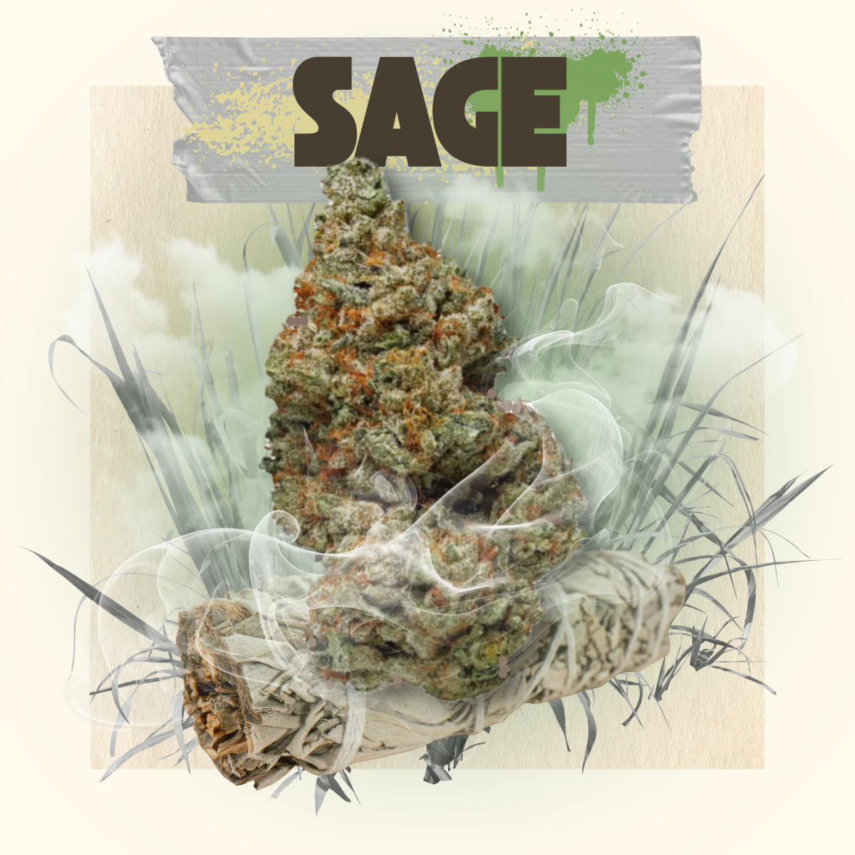 Belushi's Farm - BELUSHI'S FARM - SAGE 3.5 GRAMS Main Image