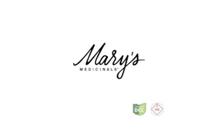 1:1 THC:CBD Transdermal Patches - 10 Patches