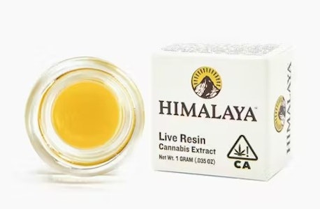HIMALAYA - Himalaya 1g Benzina Live Resin
