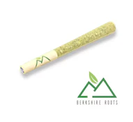 Orange Chemeleon PreRoll - 1g - BSR
