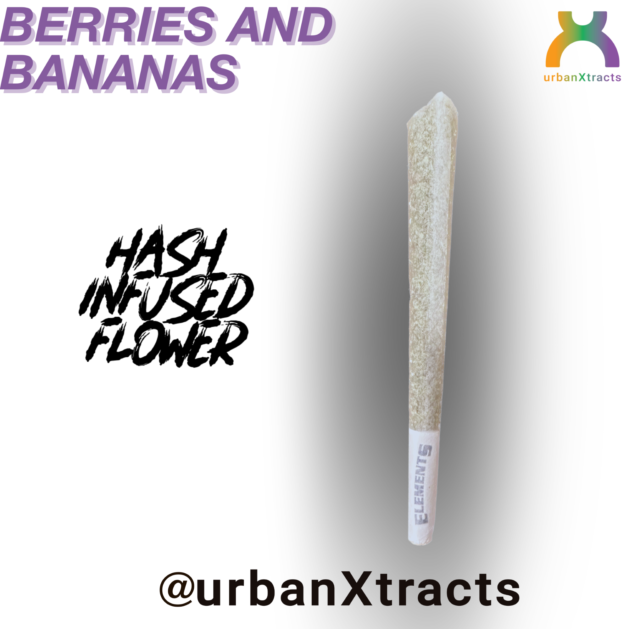 Berries & Bananas Hash Infused - 1.2g - Preroll