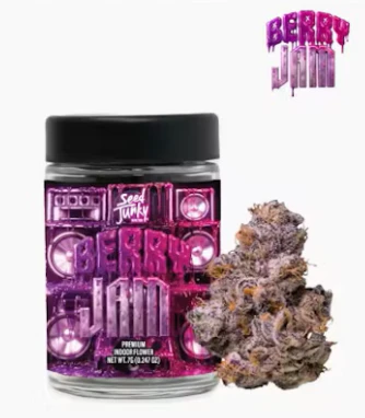 Seed Junky Genetics Michigan - Seed Junky Genetics - 7g Bigs - Berry Jam Main Image